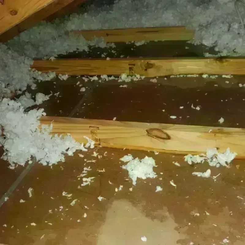 Attic Water Damage in Richmond, MN