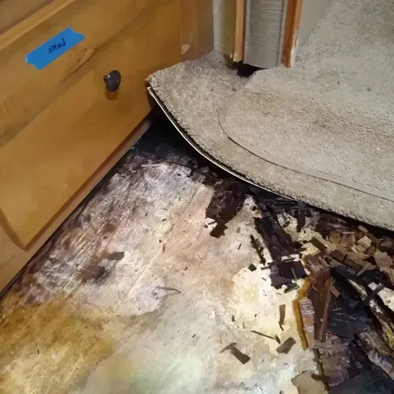 Wood Floor Water Damage in Richmond, MN